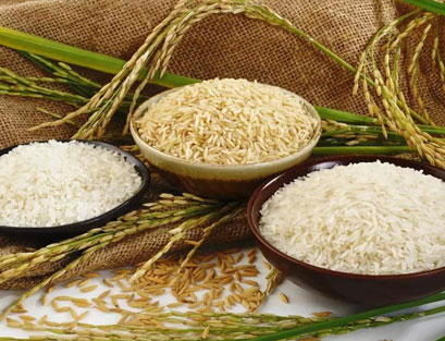 原生态有机大米是怎样种植出来的？